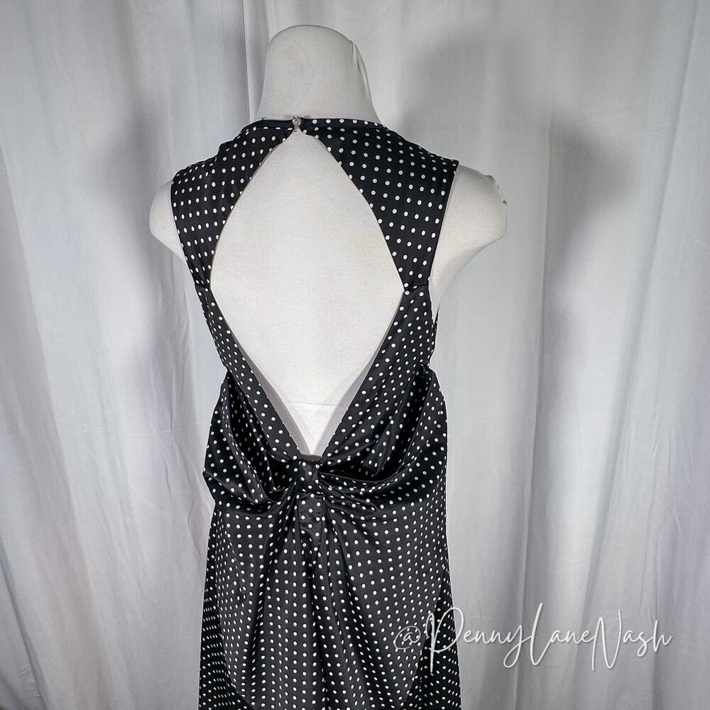 Kate Young Satin Polka Dot Open Back Maxi Dress - Picture 12 of 16